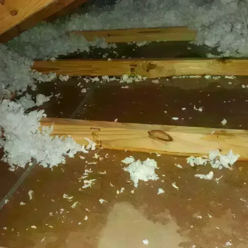 Attic Water Damage in Lawnside, NJ