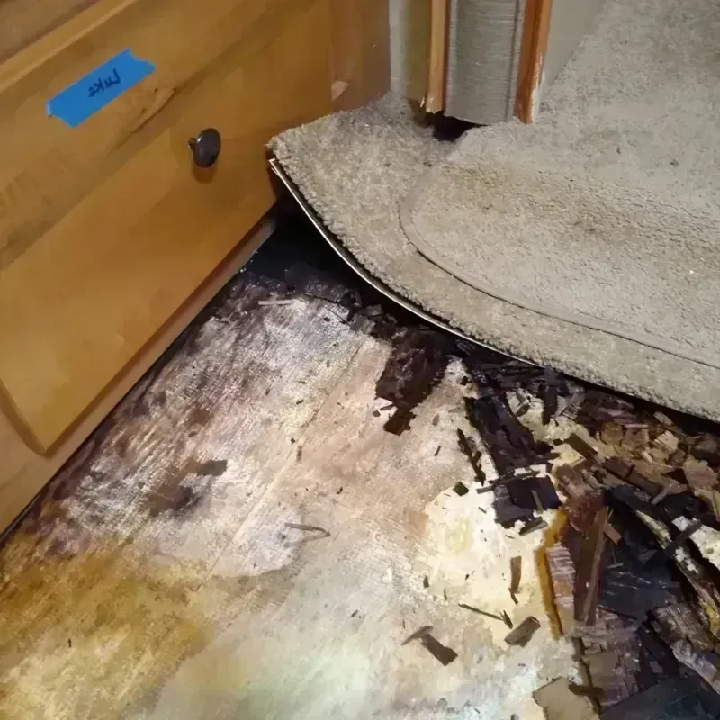 Wood Floor Water Damage in Lawnside, NJ